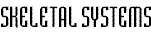 skel.gif (1601 bytes)