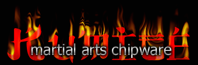 Kumite Martial Arts Chips