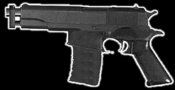 Sternmeyer C89